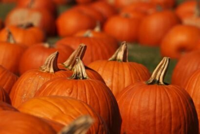 171106151629-pkg-pumpking-health-benefits-food-as-fuel-00002306