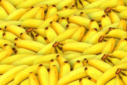 platanos pixabay